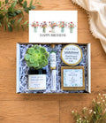 Birthday Succulent Gift Box, Live Plant, Soy Candle, Natural Soap, Lotion