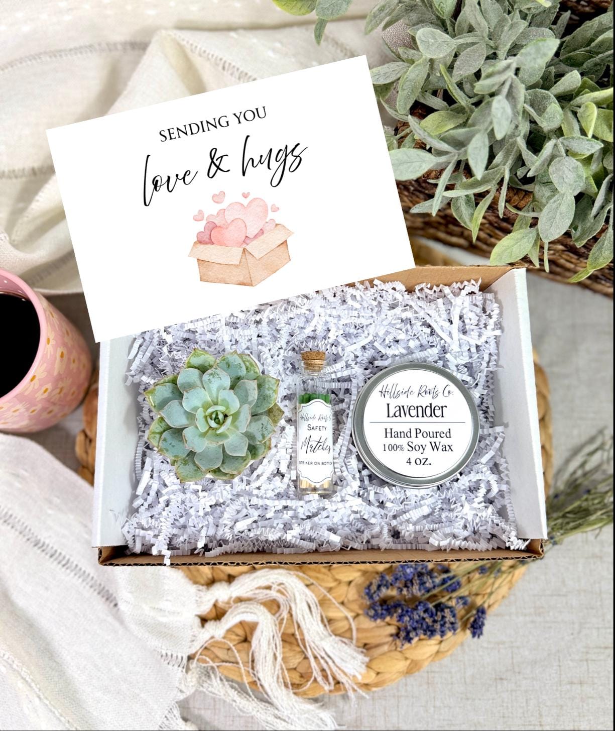 Care Package For Friends| Live Succulent and Soy Candle