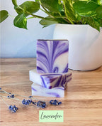 Sending Hugs Succulent Gift Box, Soy Candle, Natural Soap, Lip Balm, Hand Lotion