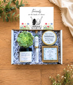 Friends Succulent Spa Gift Box